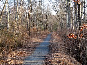 Whitney Spur Rail Trail, March 2014