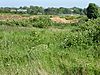 Aldeburgh Brick Pit