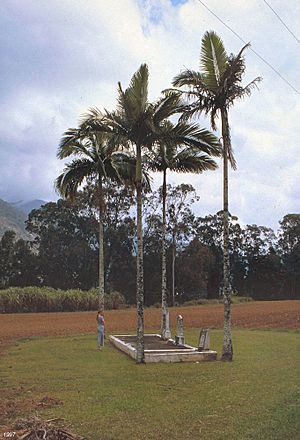 Alley Family Graves, 1997.jpg