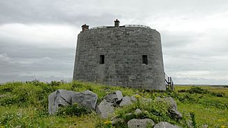 Aughinish Tower.JPG