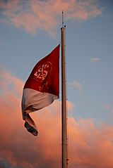 Bandeira do Internacional