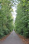 Bank Hall Carriage Drive looking from the Gamekeepers Lodge towards Bretherton Lodge