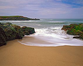 Bean Hollow State Beach 2003.jpg