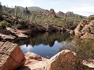 Bear gulch reservoir