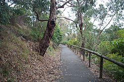 Belgrave rail trail.jpg