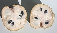 Cherimoya cut hg.jpg