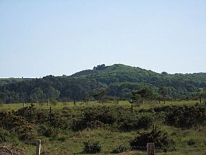 Creech Barrow - geograph.org.uk - 1334661