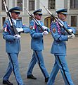 Czechguards