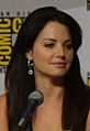 Erica Durance 2010 (2)