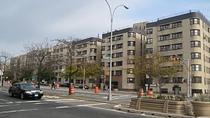 Grand Concourse 2007-11