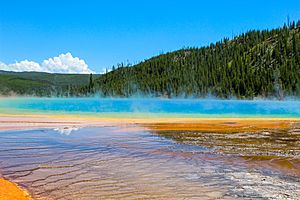 Grand Prismatic Springs in July