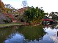 Japanese-style bridge over Lake Biwa, Memphis Botanic Garden