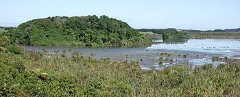 Lake Papaitonga