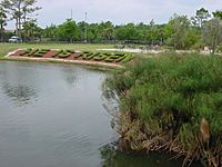 Lake at HLE