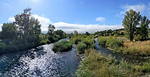 Los Pinos River looking south