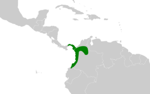 Notharchus pectoralis map.svg