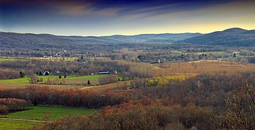 Old Farm Sanctuary (4) (13943887064).jpg