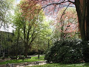 PSU campus in spring 07