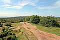 Pathway, Thurstaston Hill (geograph 2990385)