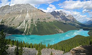 Peyto Lake-Banff NP-Canada.jpg