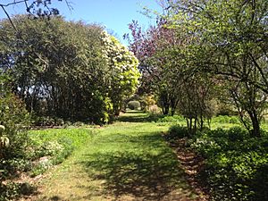 Picking Garden Saumarez Homestead