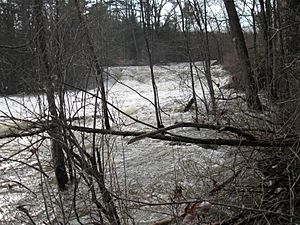 Pleasant-river-gray-maine