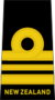 Lieutenant commander