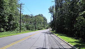 South along Schalks Crossing Road (CR 683) approaching the Northeast Corridor overpass