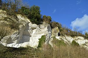 Seale Chalk Pit 02.JPG