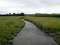 Smestow Brook 19 Furnace Grange