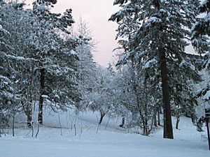 Snow in Eugene