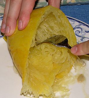 Spaghetti Squash Prepared 500