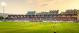 Tallaght Stadium (2014)