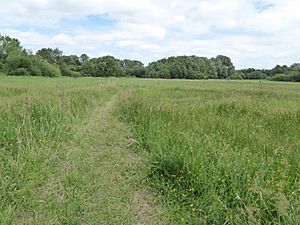 Thelnetham Fen 4.jpg