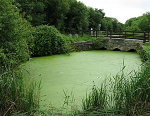 Titchfield Canallock