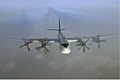 Tupolev Tu-95 in flight