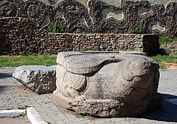 Ussuriysk-Stone-Tortoise-S-3542