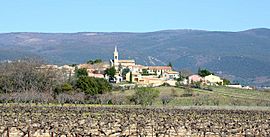 A view of Villars with vineyards