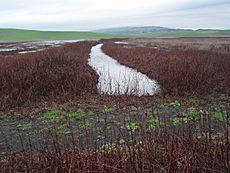 West Across Upper Tolay Lake