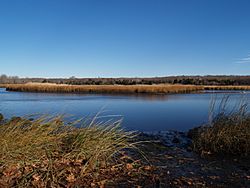 West Branch Westport River