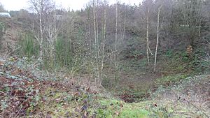 Westwood Quarry 2.JPG