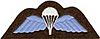 Wings badge