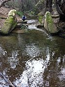 1935 weir in Permanente Creek in Heritage Oaks Park 2013