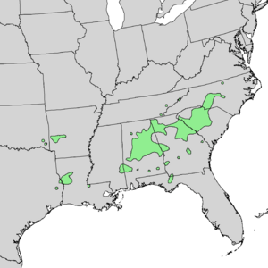 Acer leucoderme range map 1.png