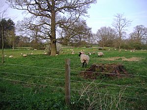 Alethorpe 14th April 2009.JPG