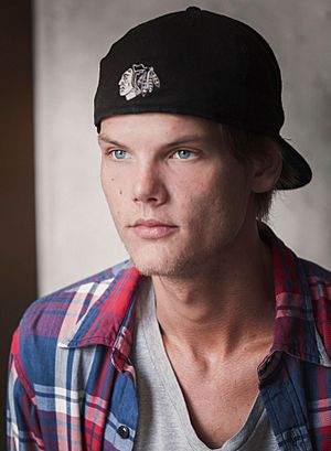 Avicii 2014 003