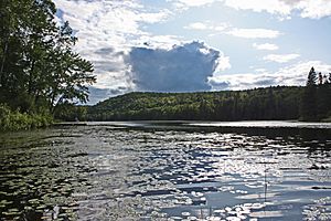 Big Mink Lake.jpg