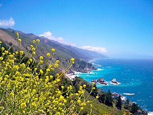 Big Sur Coast California