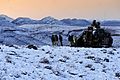 Bushmaster Afghanistan snow Jan 2010