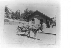 Cazadero, California (1890)